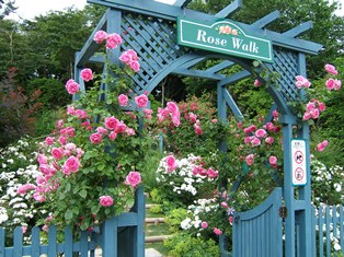 バラの小径　ローズウオーク入口