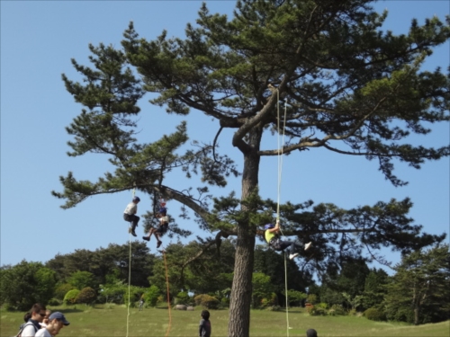 ロープクライミング 開催時の様子