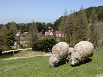 六甲山牧場