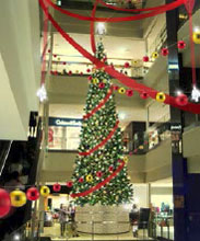 「南館４階クリスマスツリー」ｲﾒｰｼﾞ画像