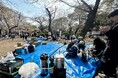 『花見は参加したくない』が6割のトレンドと現代のニーズに答える花見での新しいサービス