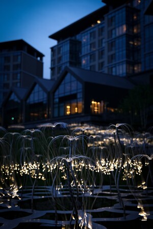 Mountain Lights (C)Bruce Munro Studio