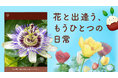 花植物で新しい体験ができるアプリ『花の手帖 - プランティー』App Store、Google Playにて配信開始