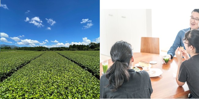 左:茶畑のようす(鹿児島県霧島) 右:挽きたて抹茶で団欒