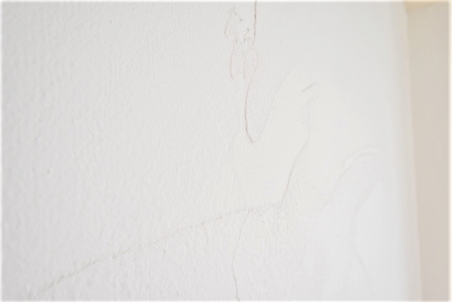 LDK・和室・洋室の壁には吸湿性・保湿性に優れた「漆喰」を施工。