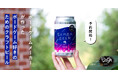 【ボードゲーム×ビール】ボードゲームメーカーが作ったクラフトビール『センバビール』予約スタート!記念イベントも開催!
