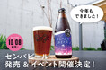 【ボードゲーム×ビール⁉︎】ボードゲームメーカーが作ったクラフトビール「センバビール」10/8発売!記念イベントも開催決定!