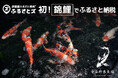 錦鯉でふるさと納税の寄附受付開始。店舗型ふるさと納税(R)『ふるさとズ』初。