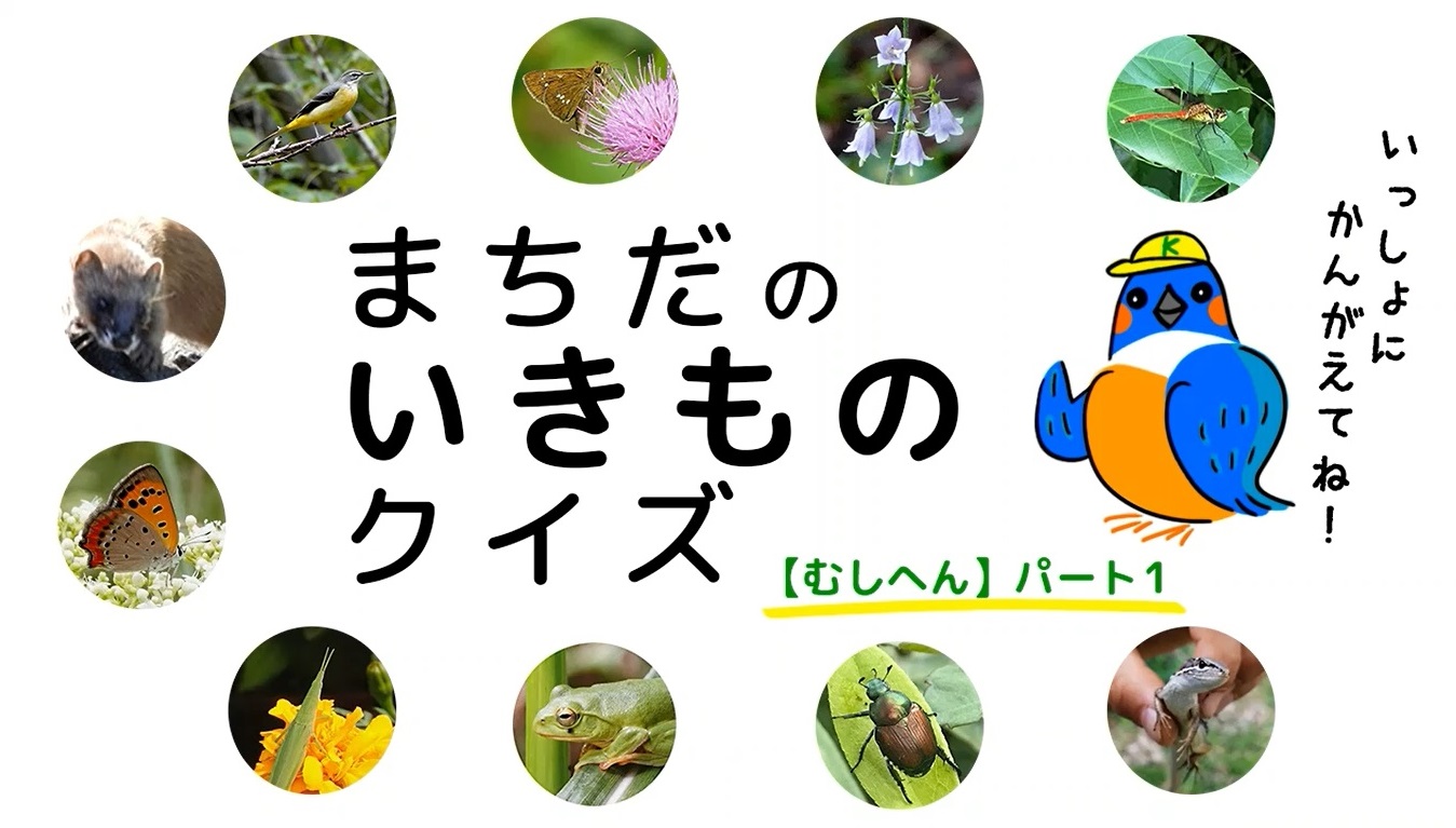クイズで子どもの生物多様性への理解を育む動画 まちだのいきものクイズ を公開 町田市役所のプレスリリース