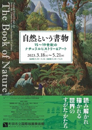 チラシ表 チラシ表