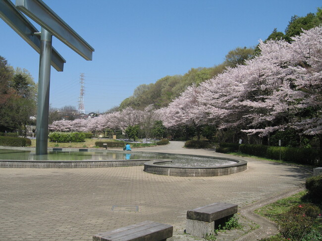 芹ヶ谷公園(町田市)