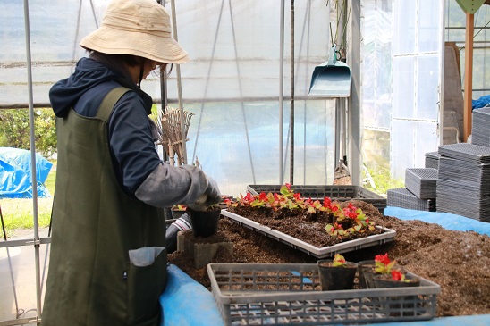 市営下小山田苗圃の作業の様子