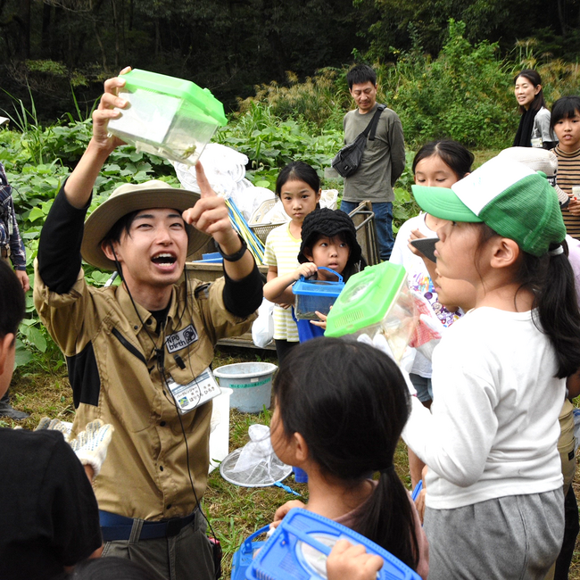 生き物観察