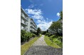 【東京都町田市】「小山田桜台団地PLAY DAY! 2024」を開催します