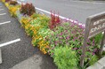【町田市東京都】花の香り漂う美しいまちづくり 2024年度秋の花壇コンクール受賞団体を発表!