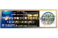 【東京都町田市】玉川学園 2024 Winter Illumination「竹あかりが息づく気づきの丘」開催!