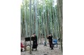 【東京・町田】2025春 竹林で聴く篠笛コンサートを開催します