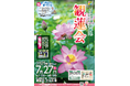 【東京都町田市】町田薬師池公園四季彩の杜 薬師池「観蓮会」・「びっちょりまつり」を開催します