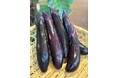 蘭越町の脱サラ夫婦など7人で結成された農家グループ「Hokkaido Agriculture Club頂」が育てた規格外野菜を朝食ブッフェで提供開始