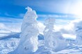 宮城蔵王の希少な自然美「スノーモンスター」を間近で体感。暖房完備の雪上車で行く「樹氷めぐりツアー」付き宿泊プランを、2、3月限定販売【メルキュール宮城蔵王リゾート&スパ】