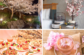 桜前線に合わせて南から北へ、桜とともに巡る春の旅　アコー全国7ホテルで楽しむ絶景桜＆春限定グルメ 2026