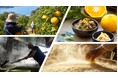 むなかた牛すじ×地元酒蔵の大島甘夏酒粕、地元食材と副産物を無駄なく活用した新メニューを提供開始【メルキュール福岡宗像リゾート＆スパ】