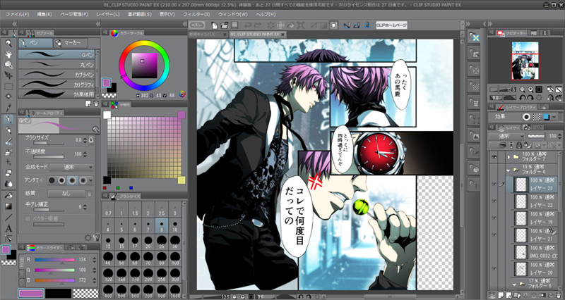 clip studio paint pro.