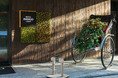 ネイバーフッドパートナー クリスマスコラボレーション「Nicolai  Bergmann  Flowers & Design」ホリデーシーズンは、洗練されたクリスマスデコレーションでおもてなし