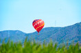 【早起きの価値あり】京都・亀岡の空に熱気球が舞う。2025年秋から熱気球のフライトシーズンがスタート！