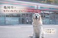 【全国初】セブン-イレブン初の「犬（ペットとの共生）」をテーマに盛り込んだ包括連携協定を締結。京都府亀岡市と「犬と暮らしやすいまち」の実現へ協力