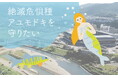 京都府亀岡市、絶滅危惧種アユモドキをまもるクラウドファンディングを開始！