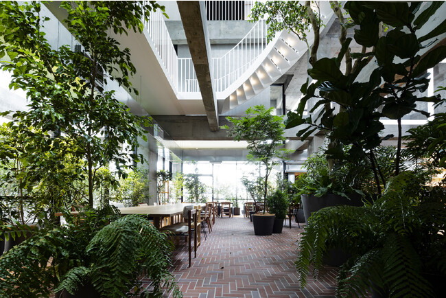 (C)Shinya Kigure (C)Shinya Kigure