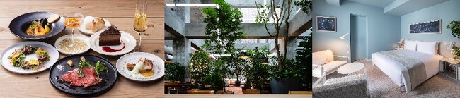 (C)Shinya Kigure (C)Shinya Kigure