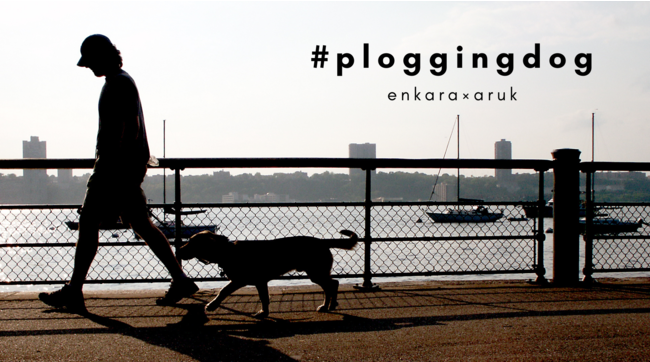 イベント企画 Plogging Dog プロギングドッグ いつもの散歩にゴミ拾いをプラスオン 犬 も人も一緒にウェルビーイングな毎日を 合同会社enkaraのプレスリリース