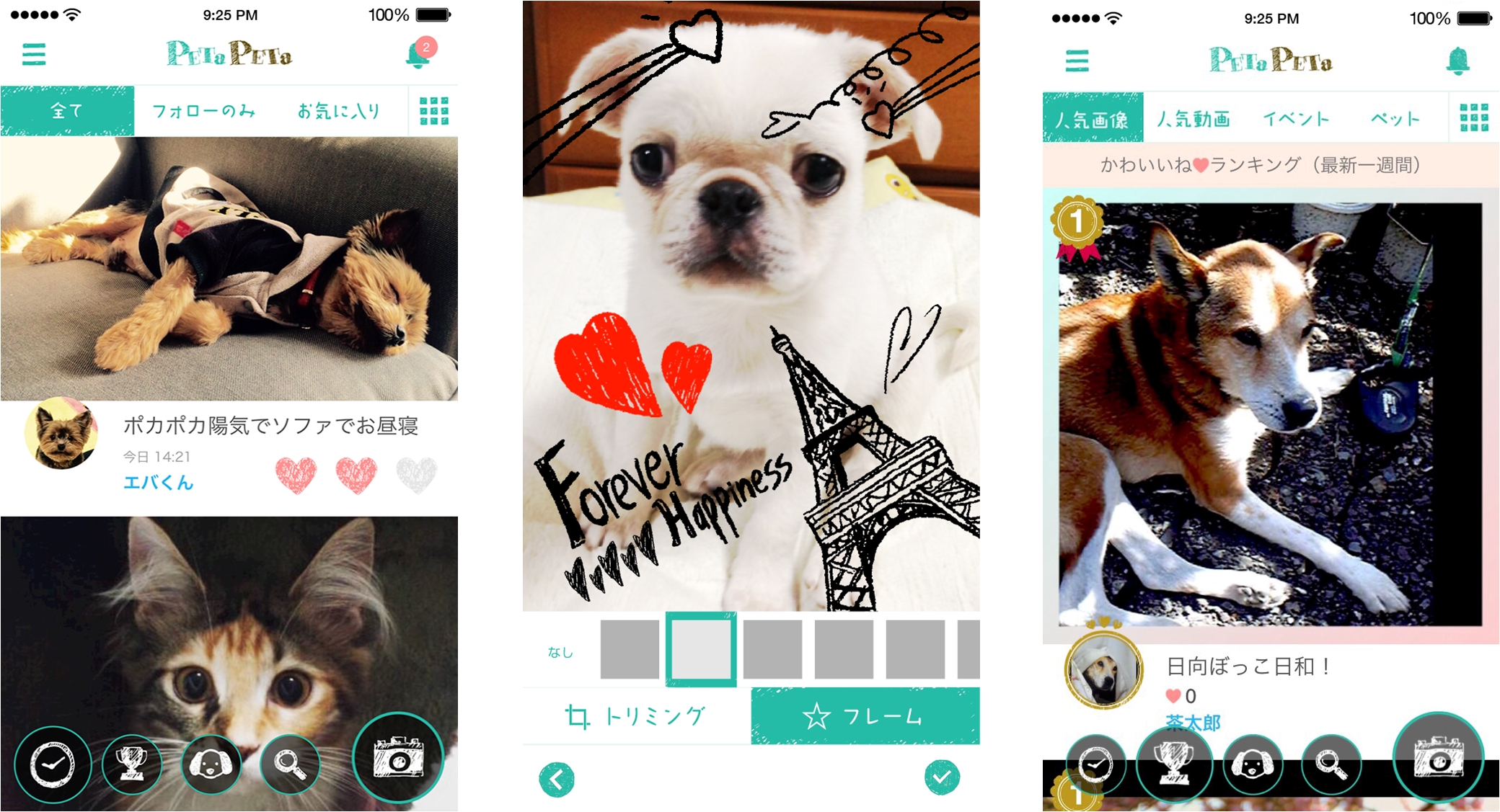 写真や動画共有の無料スマホアプリ ペット主役のsns Petapeta ペタペタ 16 年8 月26 日より提供開始 株式会社フィナンシャル エージェンシーのプレスリリース
