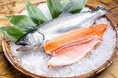Smoltの高温耐性サクラマス種苗・飼料を導入したふく成が天草産サクラマスの新ブランド「桜空（さくら）」を正式発表
