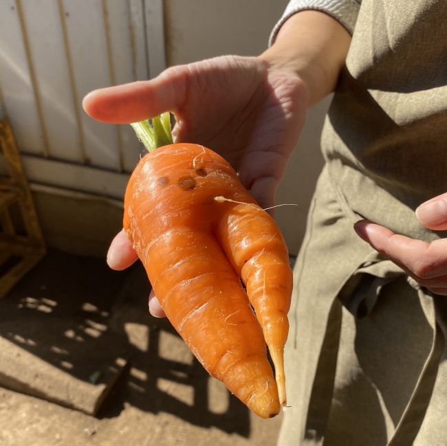 食べられるインクを用いて プラスチックを使わない野菜直売所を実証実験 農業とitの未来メディア Smart Agri スマートアグリ