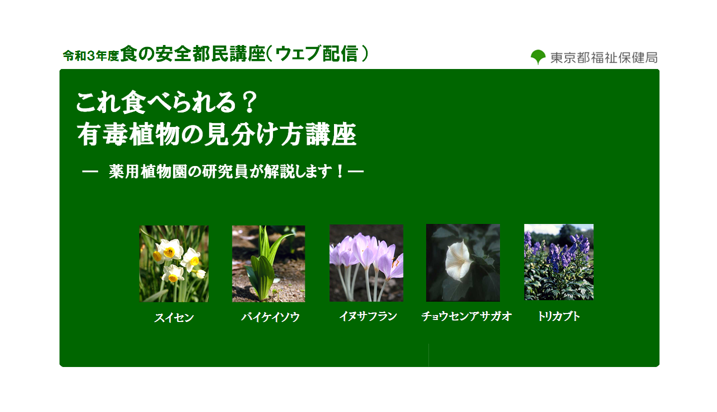 食の安全都民講座 これ食べられる 有毒植物の見分け方講座 オンライン配信 東京都のプレスリリース