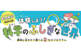夏休み体験型イベント「体験しよう！科学のふしぎな世界」の開催