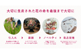 クリスマス装飾で使用したロスフラワー®を商品の素材に活用。他企業との共創で目指す、フラワーゼロウェイストの取り組み