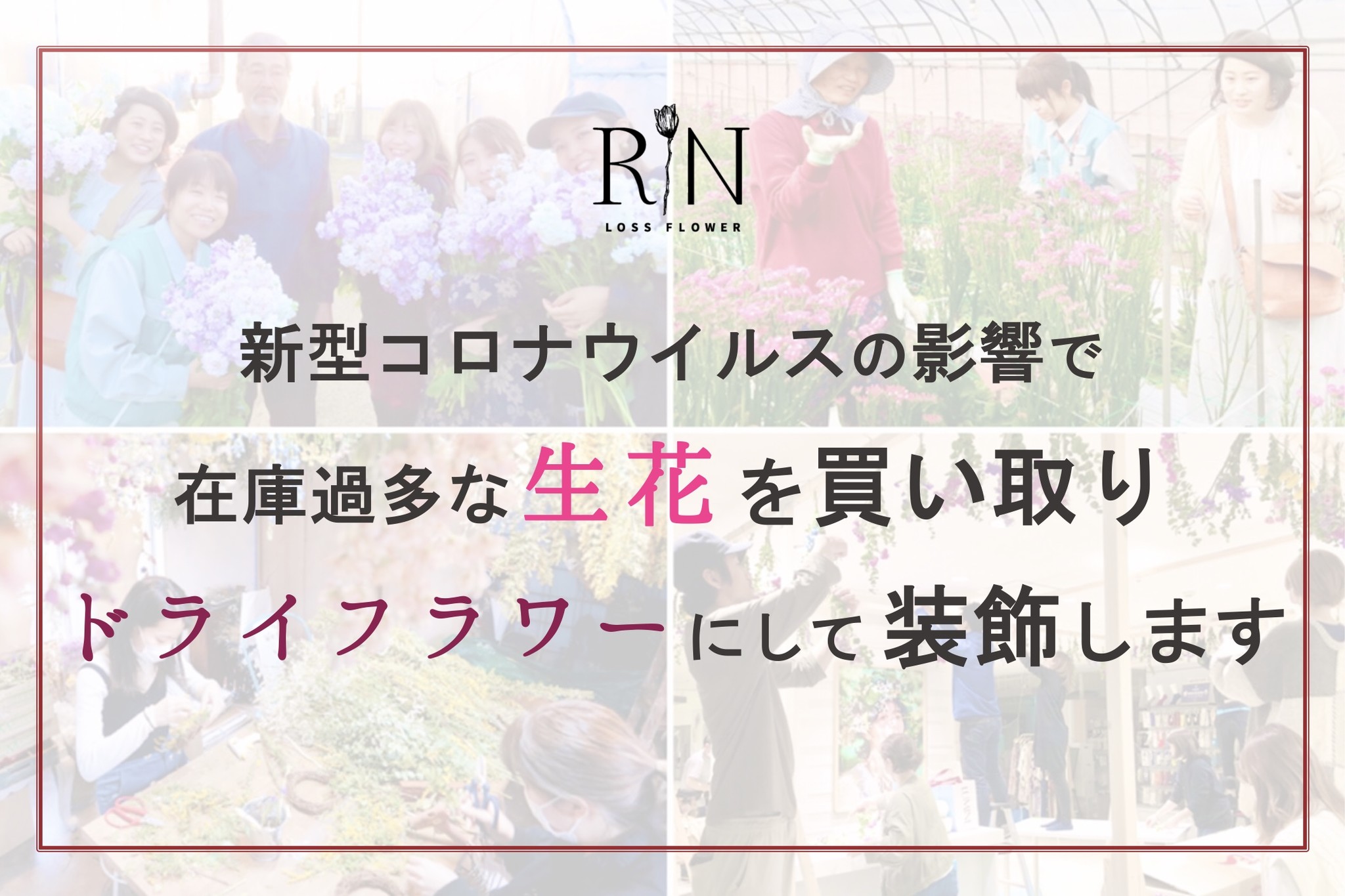 農林水産省hpにも掲載 新型コロナ ウイルスの影響で在庫過多な 生花 をフラワーサイクリストが買い取り 終息次第 ドライフラワー で装飾します 株式会社rinのプレスリリース