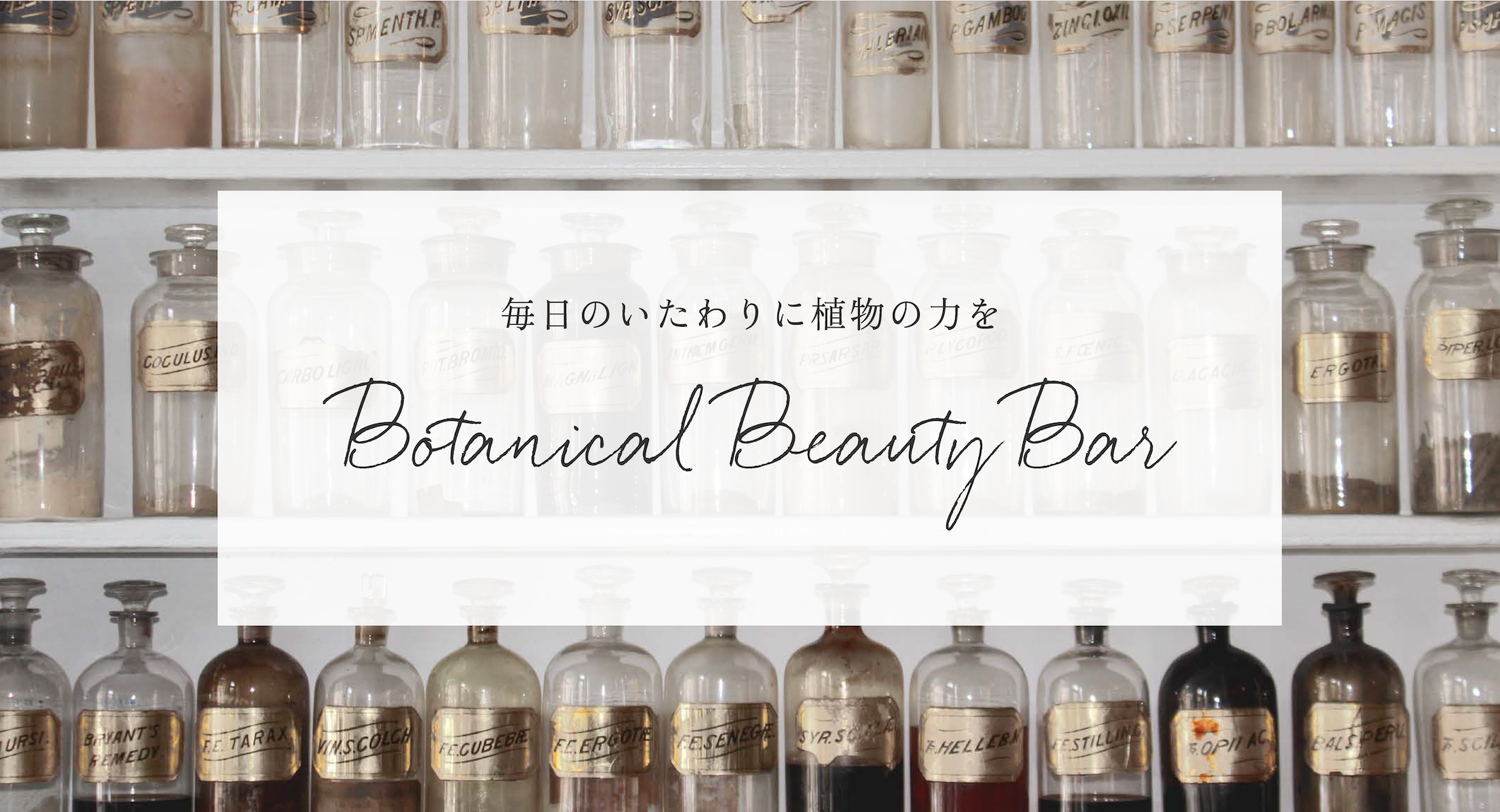 自分にぴったりのボタニカル化粧水レシピがわかる 特設サイト Botanical Beauty Bar をオープン 公益社団法人 日本アロマ 環境協会のプレスリリース