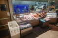 マックスバリュおゆみ野店、kiwamiのバーチャル店員案内窓口導入。鮮魚コーナーにはデジタル生け簀も