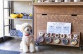 ”愛犬は家族”の想いから生まれた特別ごはん「モン・クールプレート」 旅行先でも健康と安心をサポート! ~ドッグヴィラ千葉南房総~