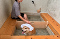 【京都・京丹波】愛犬と楽しめる「わんちゃん専用足湯」が新登場！「DOGVILLA 木都」にて特典付き記念プラン＆早割20％OFFを販売
