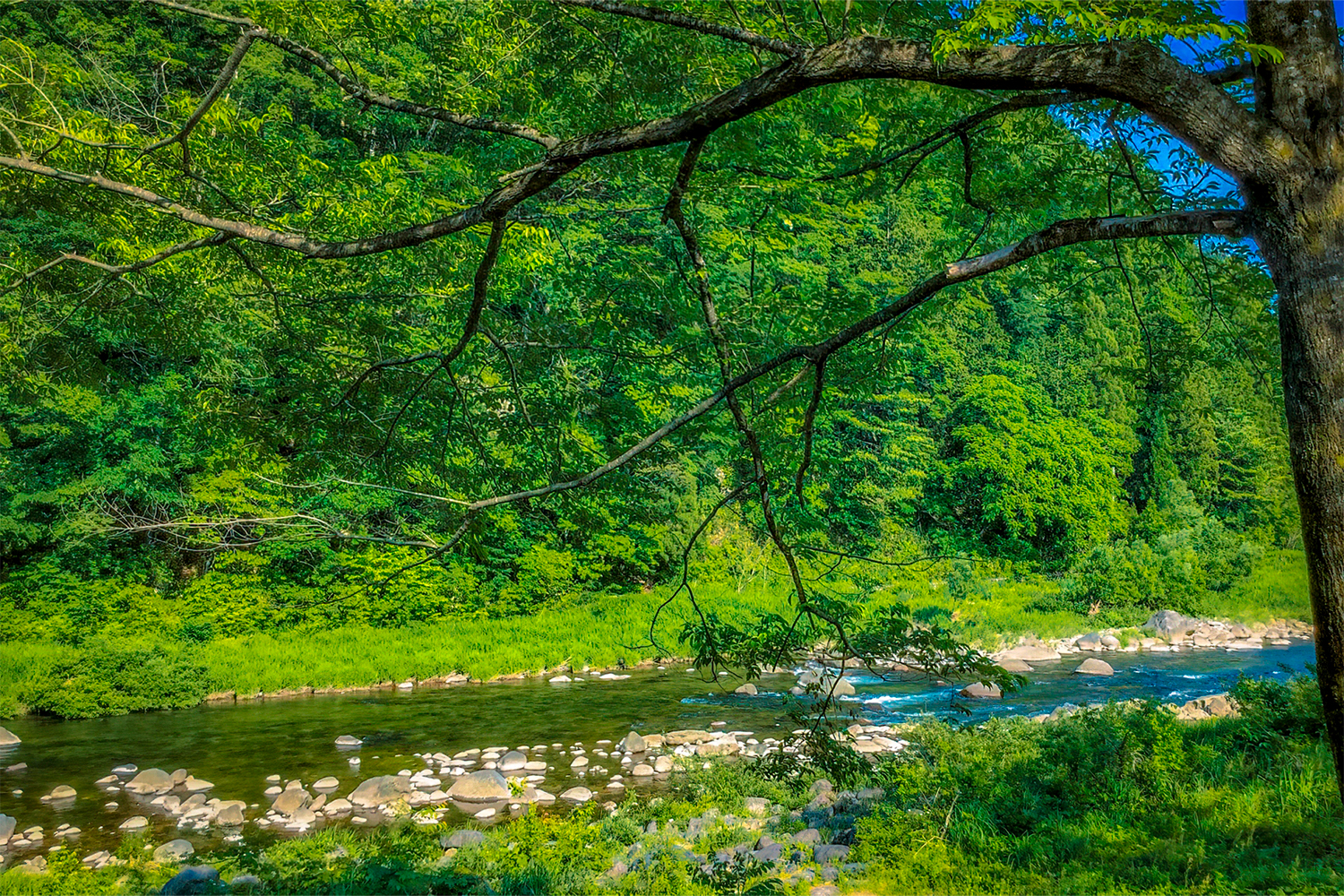 22年4月28日オープン 埼玉県秩父市 定峰峠に敷地内に清流が流れるキャンプ場 秩父定峰清流キャンプ場 ブッキングリゾートのプレスリリース
