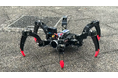 瓦礫を走破し「触って判断する」六脚スパイダーロボットを開発
