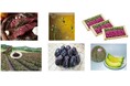 かづの牛をはじめとする農畜産物・加工品6産品を、地理的表示(GI)として登録
