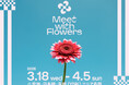 フラワーイベント「Meet with Flowers in TOKYO YNK 2026」八重洲・日本橋・京橋エリアで3月18日（水）から開催
