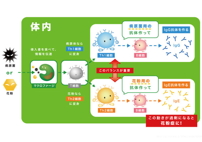 新型コロナ との症状の混同にも要注意 大人になってなるのはなぜ 花粉症にならない 軽くする 意外と知らない 花粉症 対策で本当に食べるべきもの 株式会社真琴プランニングのプレスリリース